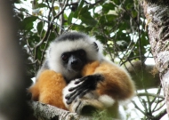 DSCF1525.JPG