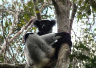 DSCF1563.JPG