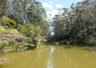 DSCF1670.JPG