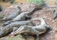 DSCF1758.JPG