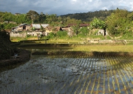DSCF1793.JPG