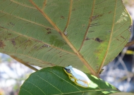 DSCF2053.JPG