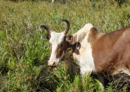 DSCF2229.JPG