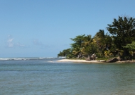 DSCF2374.JPG