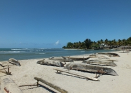 DSCF2381.JPG