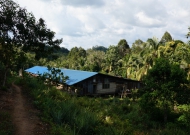 DSC01780.JPG