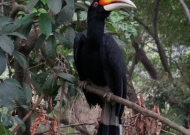 DSC01197.JPG