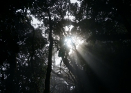DSC01486.JPG