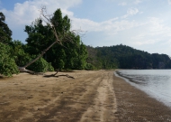 DSC01913.JPG