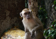 DSC02036.JPG