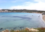 IMG_0316