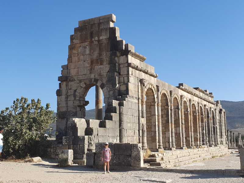 Volubilis WhatsApp-Image-2025-10-17-at-20.52.49
