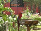 DSCN3692.JPG