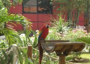 DSCN3692.JPG