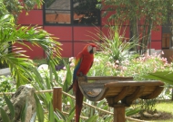 DSCN3692.JPG