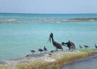 DSCN3895.JPG