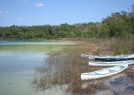 DSCN3956.JPG