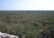 DSCN4047.JPG