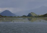 DSC00535