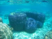 2015_1217_032140_005