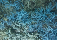 DSC08561