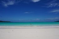 DSC08270