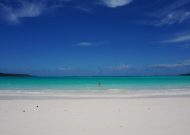 DSC08270