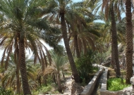 DSCF4721.JPG