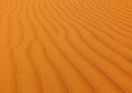 DSCF4916.JPG