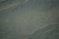 DSC01934