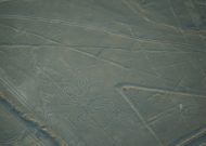 DSC01954