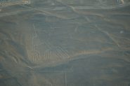 DSC01961