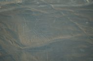 DSC01961