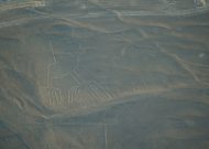 DSC01961