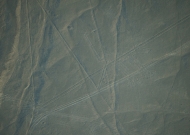 DSC01937