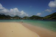 DSC00523