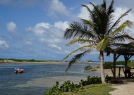 DSC00487