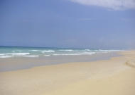 PICT0116.JPG