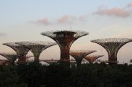 IMG_0758-1