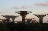 IMG_0758