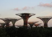 IMG_0758