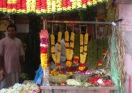 DSCN9066.JPG