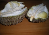 DSCN9093.JPG