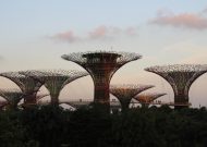 IMG_0758