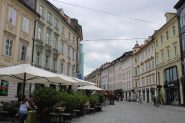 IMG_5908