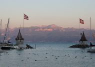 IMG_2445