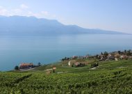 IMG_2613