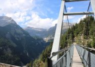 IMG_3464