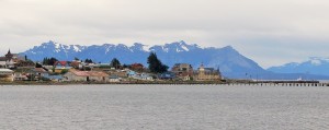 DSC05967 (2)